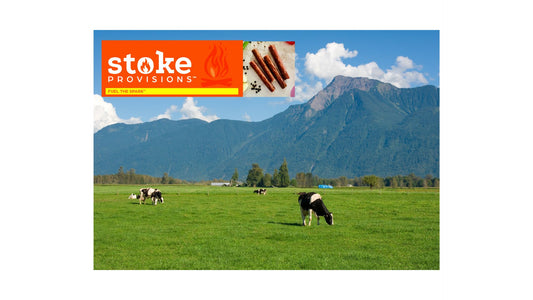 A group of diverse outdoor enthusiasts hiking in a lush green landscape with colorful grass-fed beef snack sticks in the foreground.